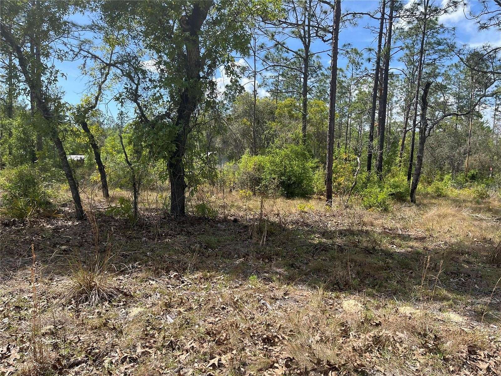 0.25 Acres of Residential Land for Sale in Bronson, Florida