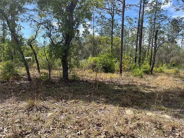 0.25 Acres of Residential Land for Sale in Bronson, Florida