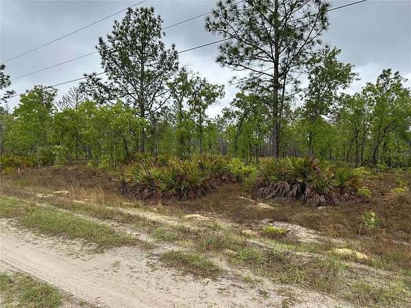 1.16 Acres of Residential Land for Sale in Dunnellon, Florida