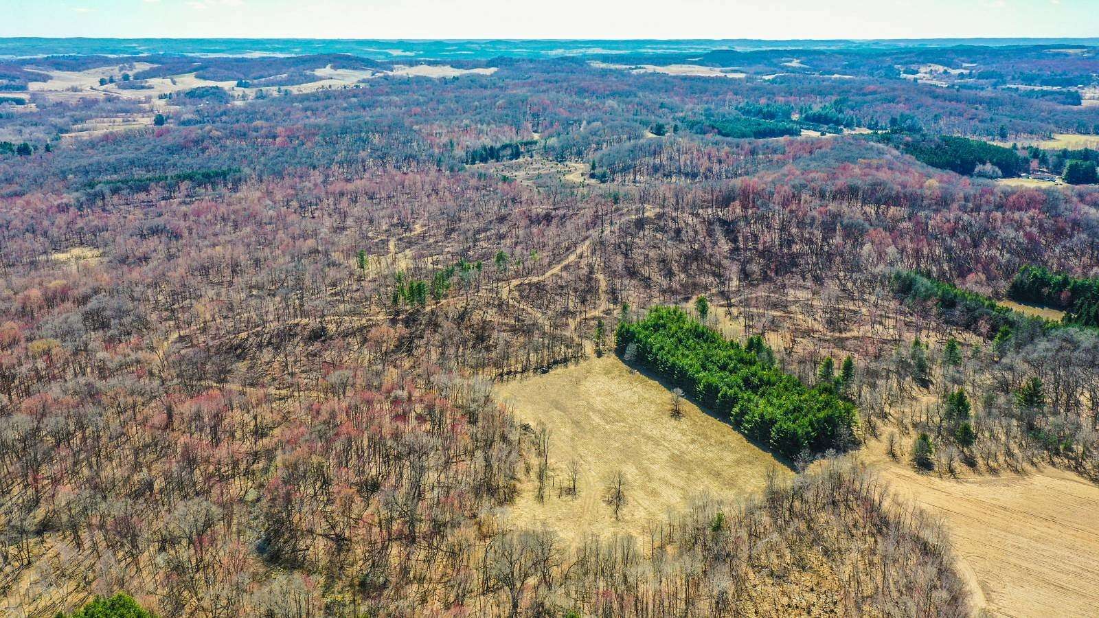 80 Acres of Recreational & Residential Land for Sale in Eleva, Wisconsin