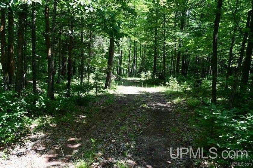 5.77 Acres of Residential Land for Sale in Hardwood, Michigan