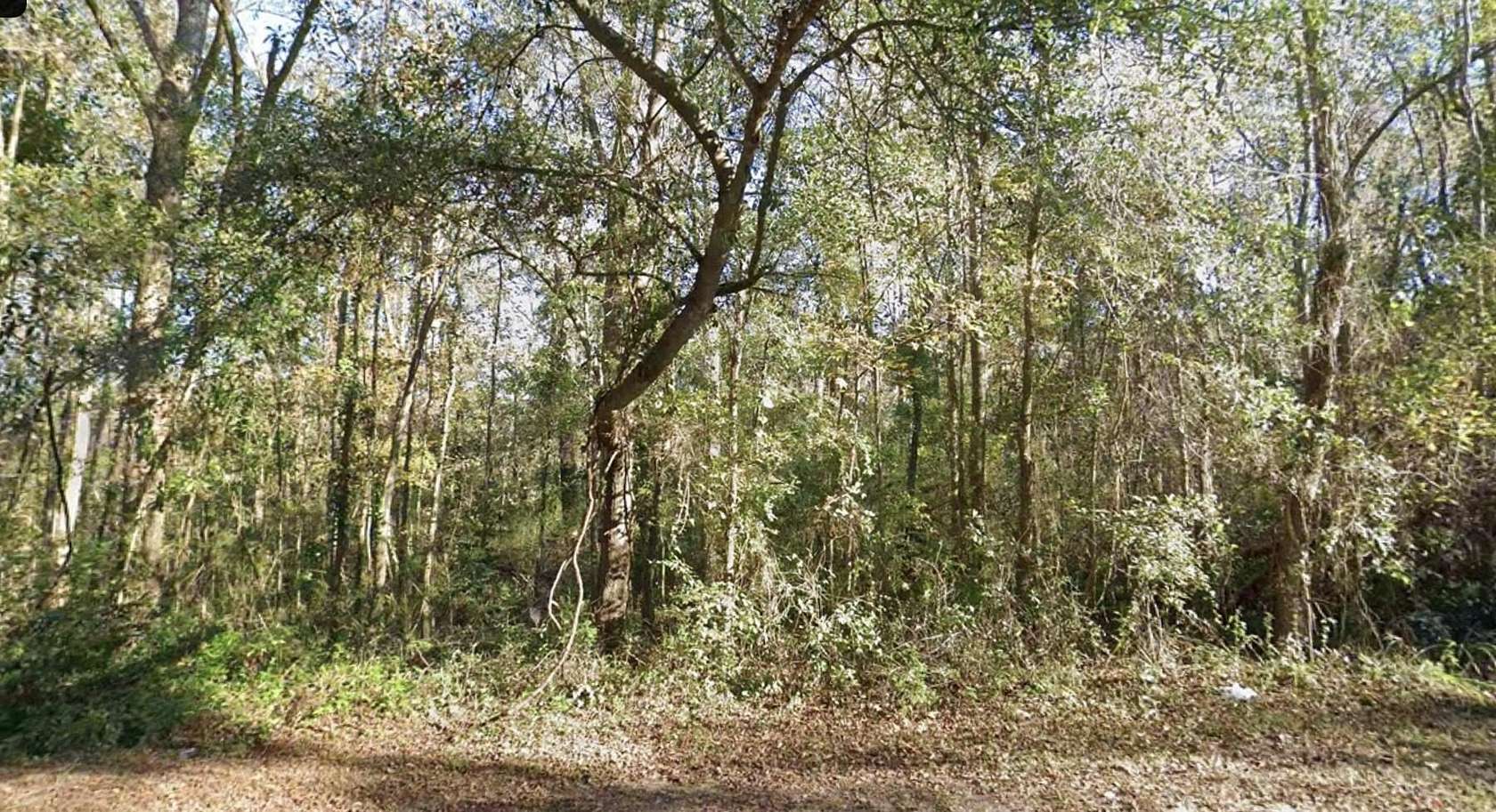 0.23 Acres of Residential Land for Sale in Tallahassee, Florida
