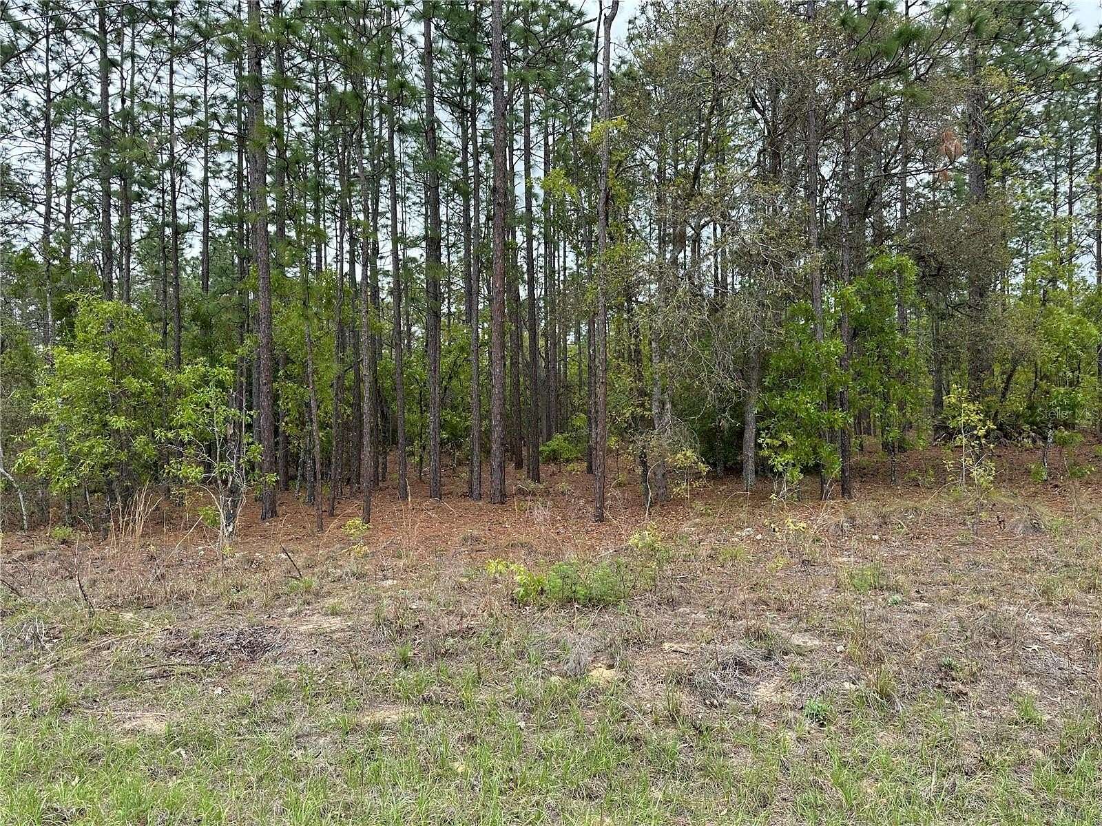 1.14 Acres of Residential Land for Sale in Dunnellon, Florida