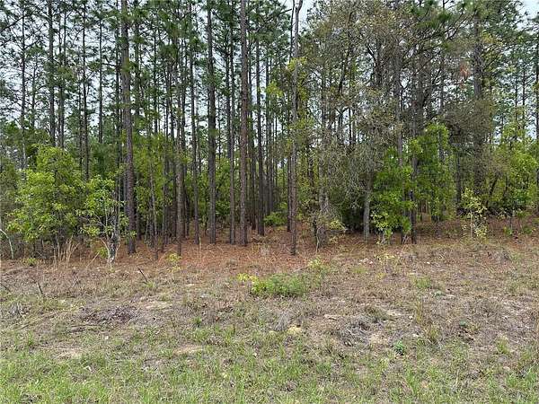 1.14 Acres of Residential Land for Sale in Dunnellon, Florida