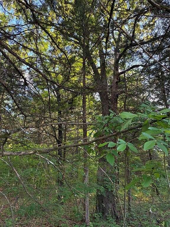 0.29 Acres of Residential Land for Sale in Honey Grove, Texas