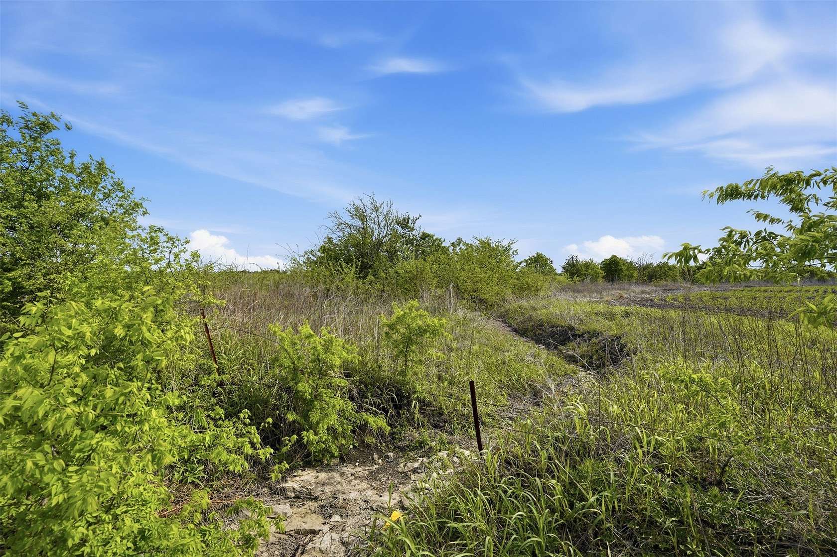 34.8 Acres of Land for Sale in Milford, Texas