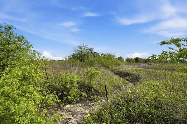 34.8 Acres of Land for Sale in Milford, Texas