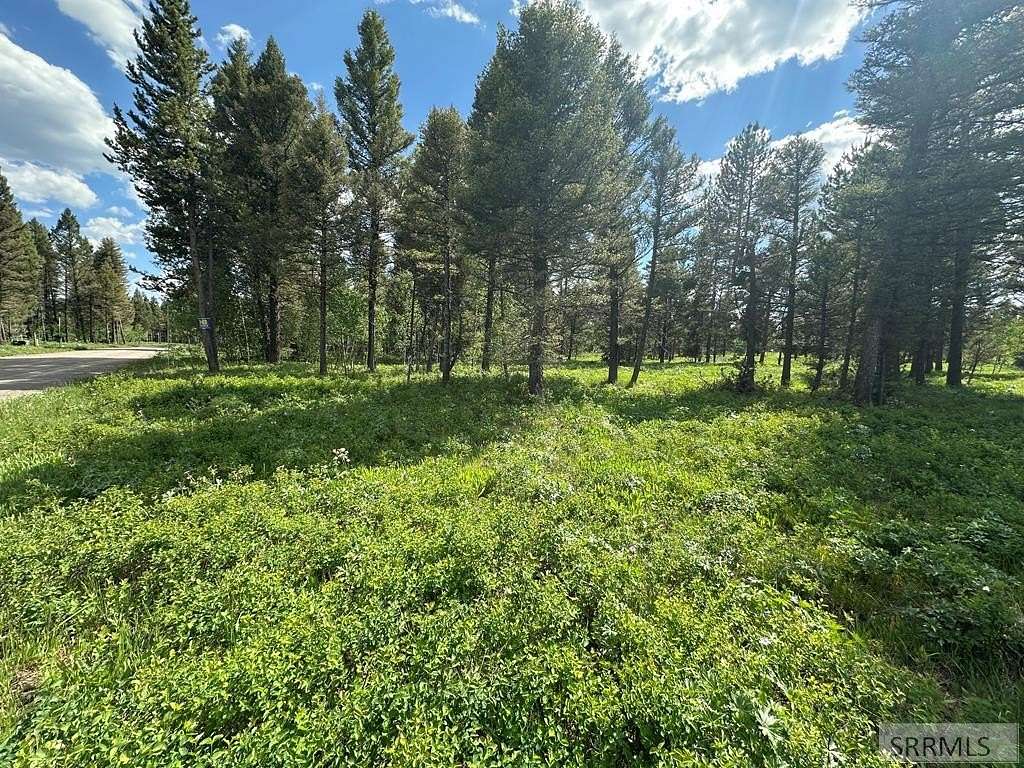5.78 Acres of Residential Land for Sale in Island Park, Idaho