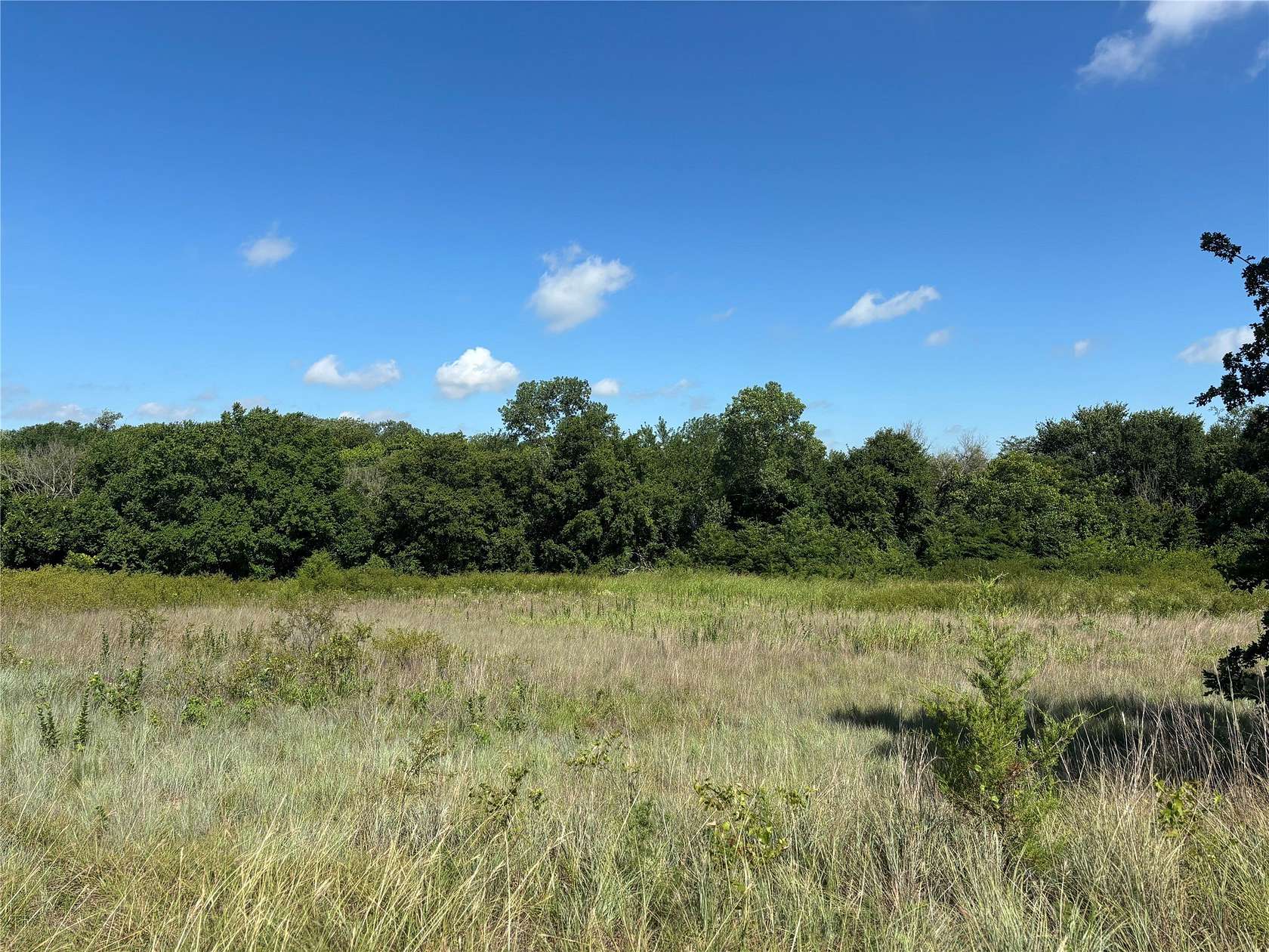 24.8 Acres of Recreational & Residential Land for Sale in Sunset, Texas