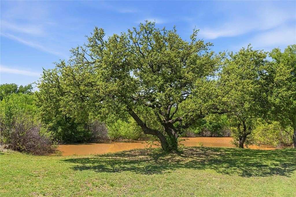 262 Acres of Land for Sale in Santa Anna, Texas