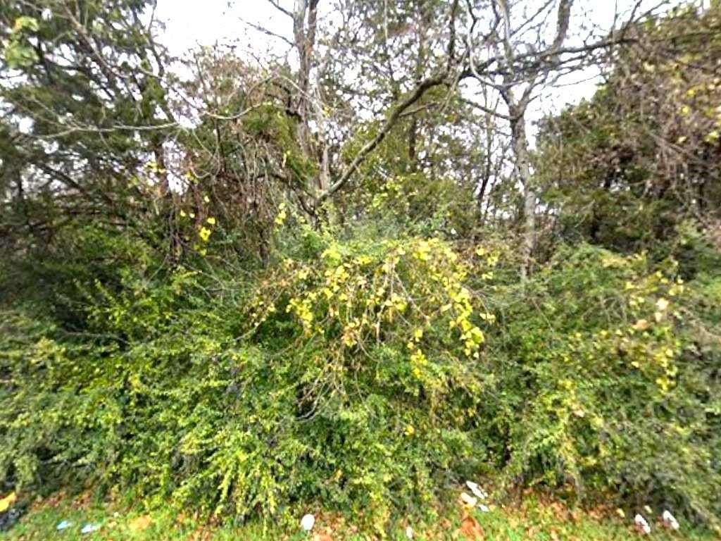 0.29 Acres of Residential Land for Sale in Dallas, Texas