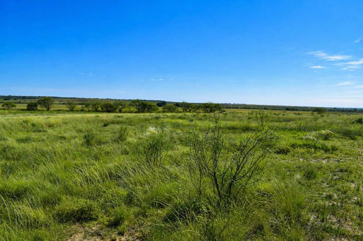 100 Acres of Land for Sale in Brady, Texas