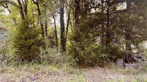 0.12 Acres of Residential Land for Sale in Mabank, Texas