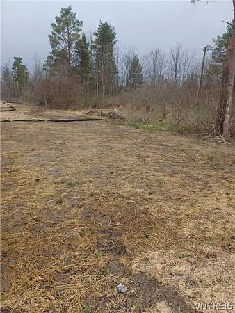 2.6 Acres of Residential Land for Sale in Collins, New York