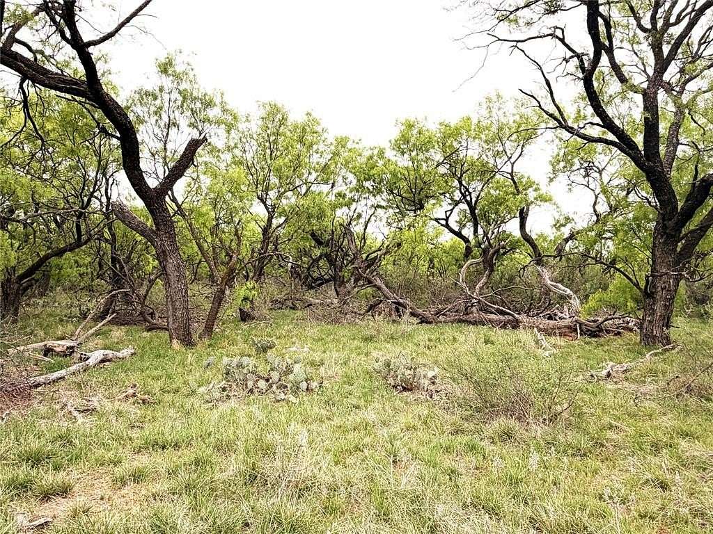 36.1 Acres of Land for Sale in Breckenridge, Texas
