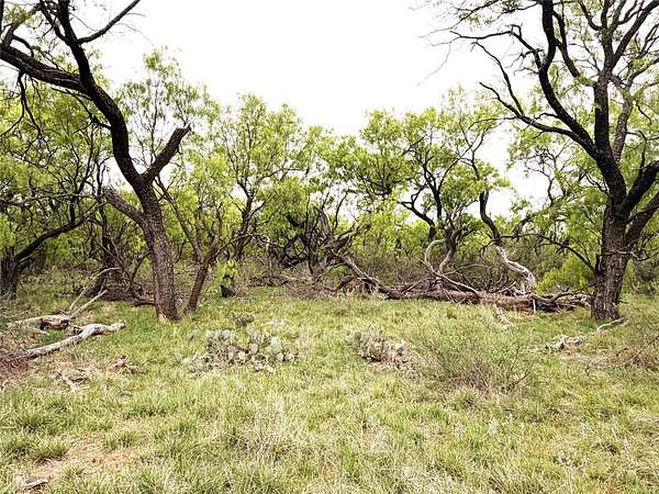 36.1 Acres of Recreational Land for Sale in Breckenridge, Texas