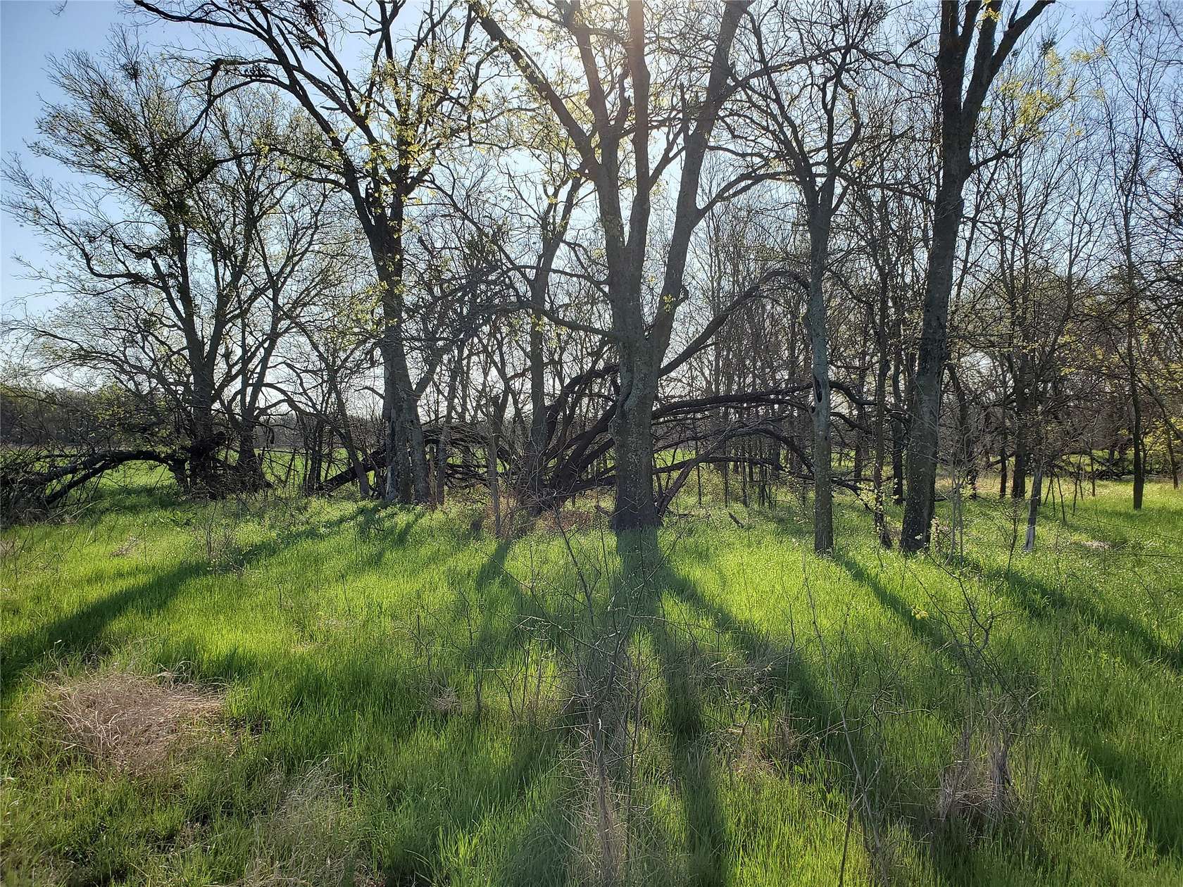 9.85 Acres of Land for Sale in Aquilla, Texas