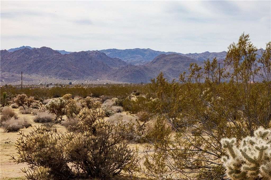 5 Acres of Improved Residential Land for Sale in Joshua Tree, California