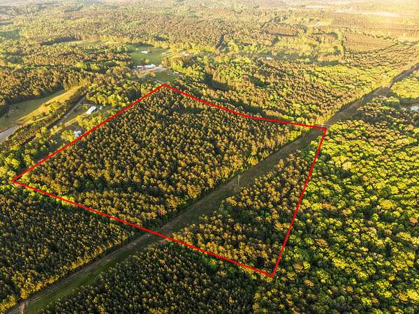 41 Acres of Recreational Land for Sale in Meridian, Mississippi