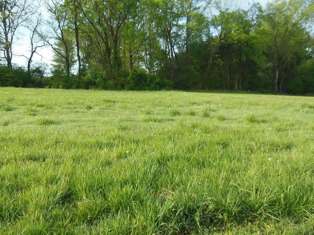 0.33 Acres of Residential Land for Sale in Gainesboro, Tennessee