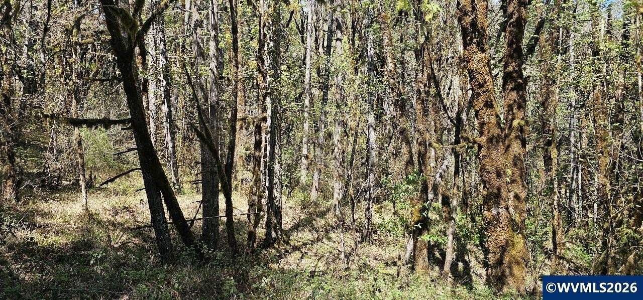 7.8 Acres of Residential Land for Sale in Philomath, Oregon