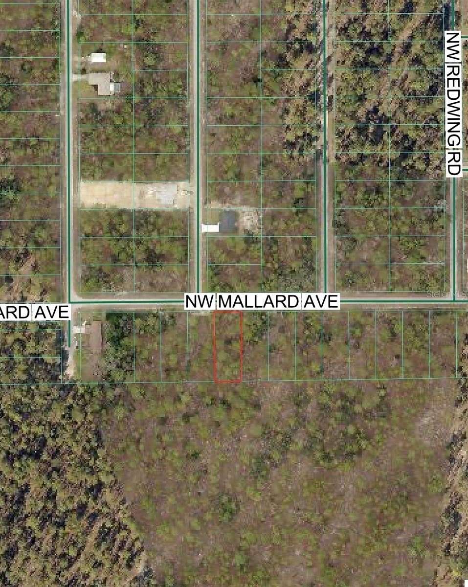 0.29 Acres of Residential Land for Sale in Dunnellon, Florida