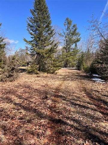 Residential Land for Sale in Curtis Township, Michigan