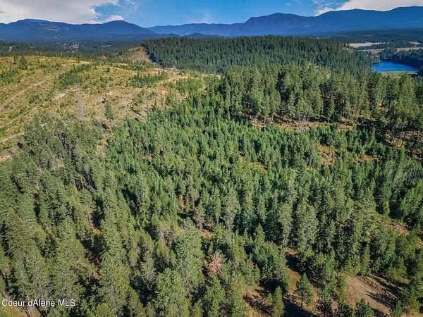 5 Acres of Residential Land for Sale in Athol, Idaho