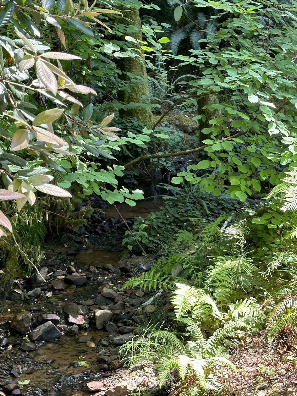 1 Acre of Residential Land for Sale in Crescent City, California