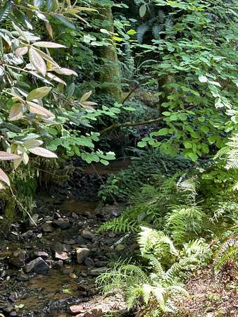 1 Acre of Residential Land for Sale in Crescent City, California