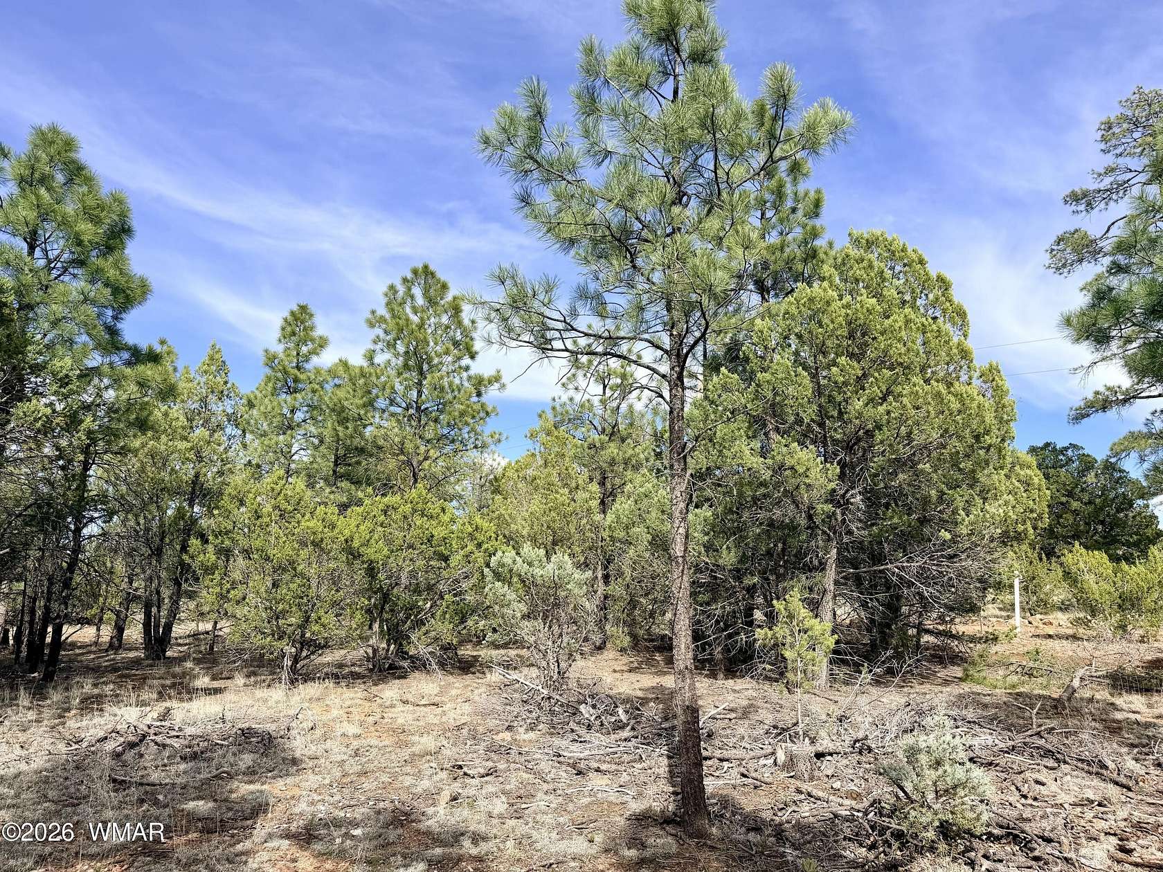 4 Acres of Residential Land for Sale in Happy Jack, Arizona