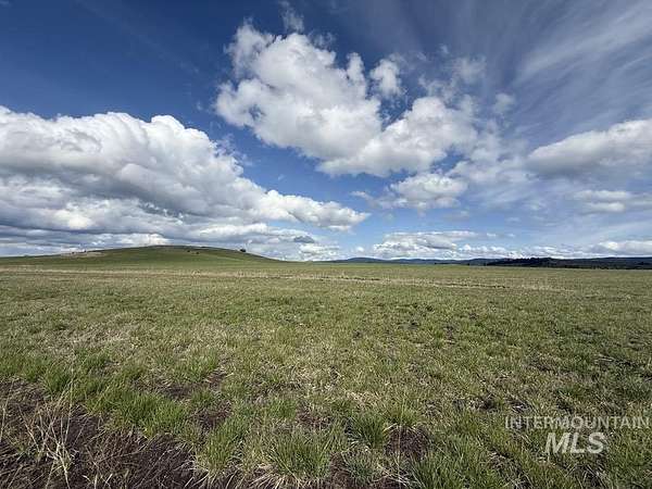 10 Acres of Residential Land for Sale in Grangeville, Idaho