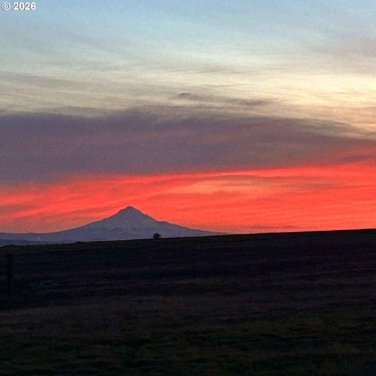 20 Acres of Recreational Land for Sale in Bickleton, Washington