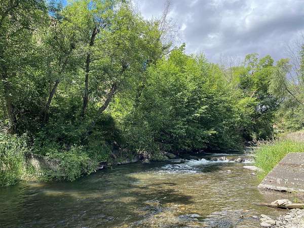 28.7 Acres of Recreational & Residential Land for Sale in Asotin, Washington