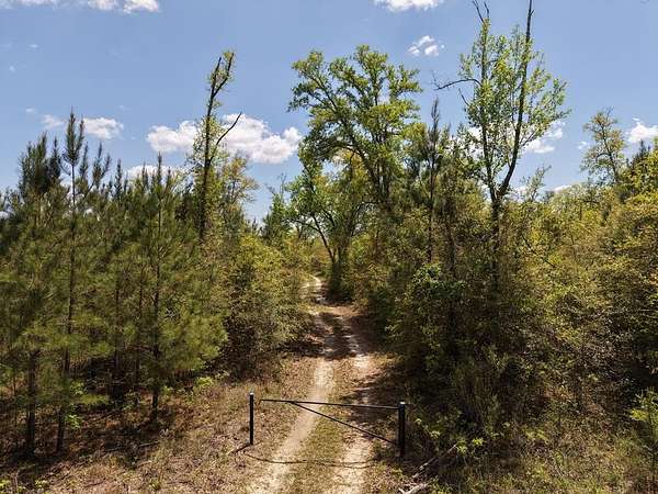 380 Acres of Recreational Land for Sale in Blakely, Georgia