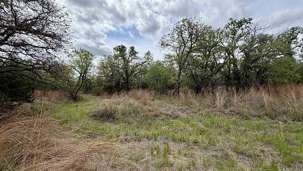 0.28 Acres of Residential Land for Sale in Kingsland, Texas