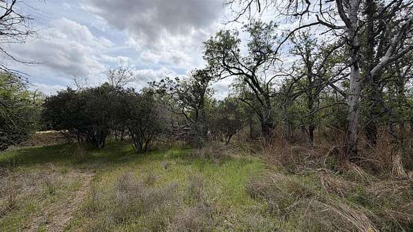 0.28 Acres of Residential Land for Sale in Kingsland, Texas