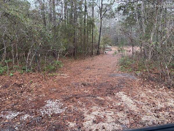 1 Acre of Land for Sale in Hampstead, North Carolina