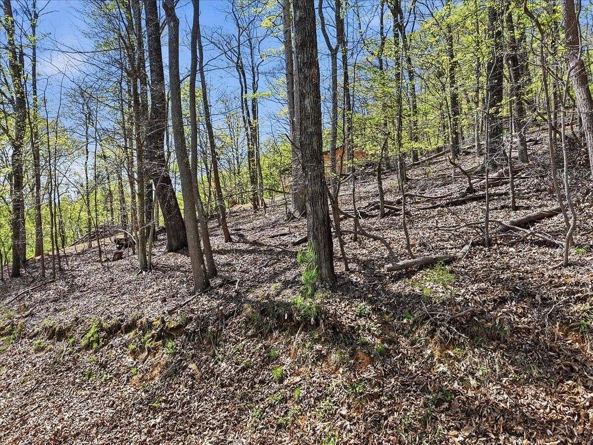 0.69 Acres of Residential Land for Sale in Mooresburg, Tennessee