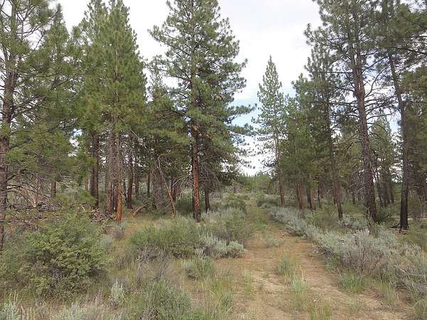 2.36 Acres of Residential Land for Sale in Sprague River, Oregon