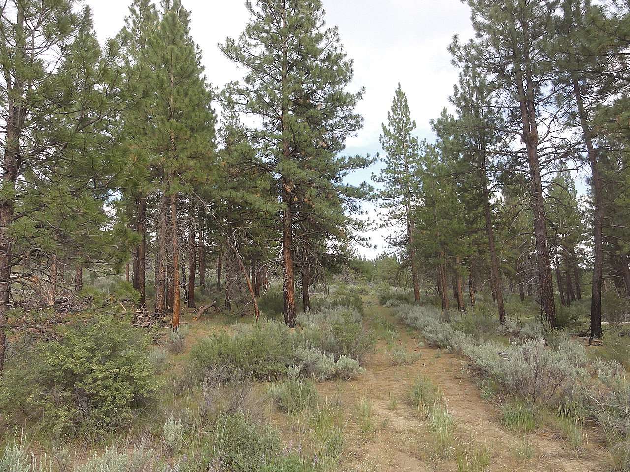 2.32 Acres of Residential Land for Sale in Sprague River, Oregon