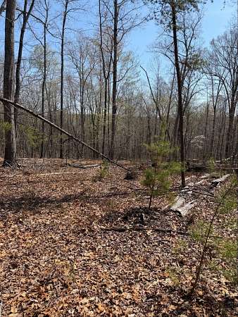 7 Acres of Residential Land for Sale in Huddleston, Virginia