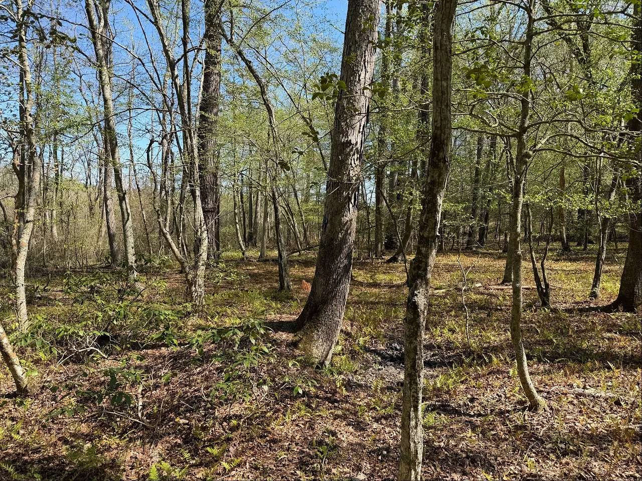 26 Acres of Recreational Land for Sale in Heathsville, Virginia