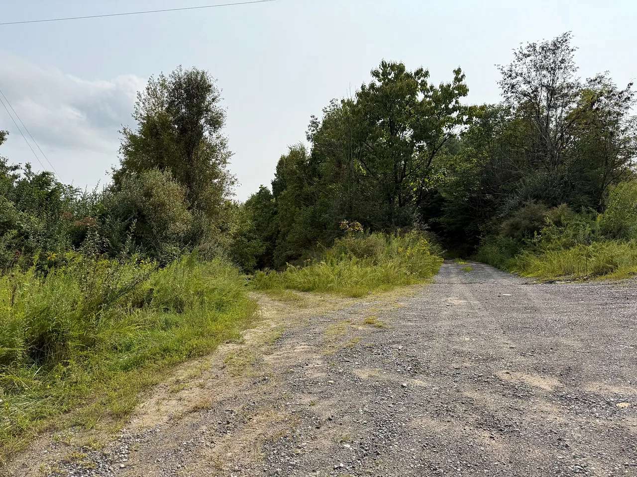 58.1 Acres of Land for Sale in Cleveland, Virginia