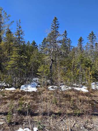 0.2 Acres of Land for Sale in Alpena, Michigan