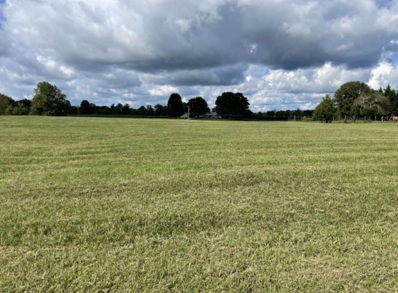 0.8 Acres of Residential Land for Sale in Hillsboro, Tennessee