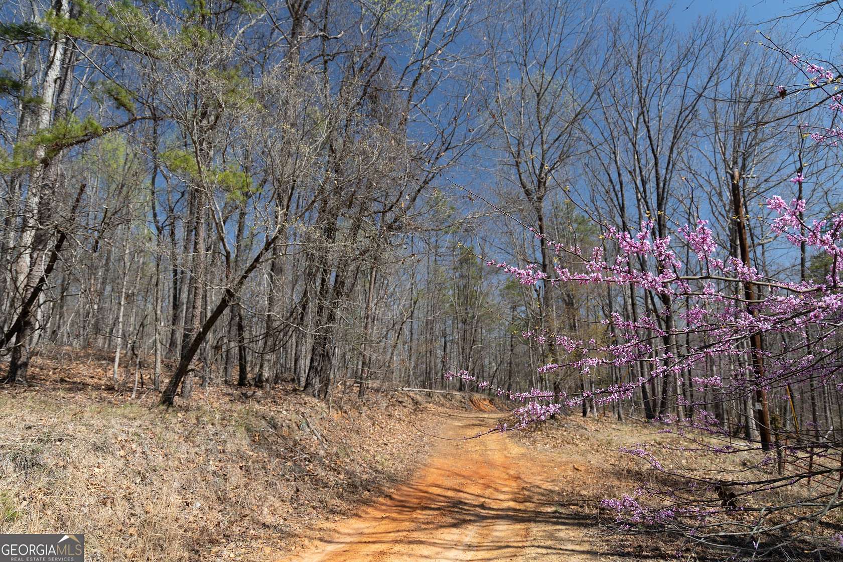 106 Acres of Recreational & Residential Land for Sale in Baldwin, Georgia