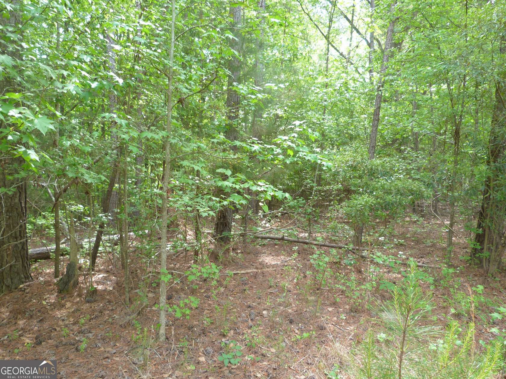 3 Acres of Land for Sale in Appling, Georgia