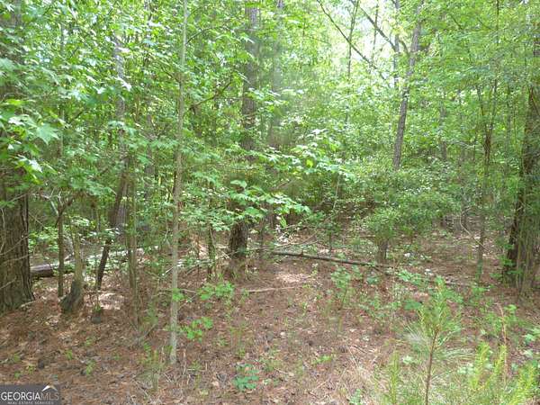 3 Acres of Land for Sale in Appling, Georgia