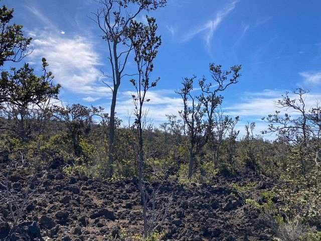 1 Acre of Residential Land for Sale in Hawaiian Ocean View, Hawaii